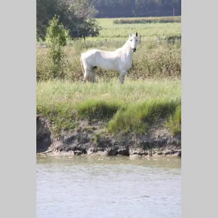 Ancienne Abbaye De Camargue Holiday home Franquevaux